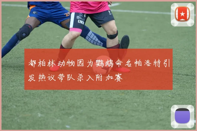 都柏林动物园为鹦鹉命名帕洛特引发热议带队杀入附加赛