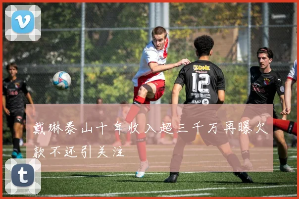 戴琳泰山十年收入超三千万再曝欠款不还引关注